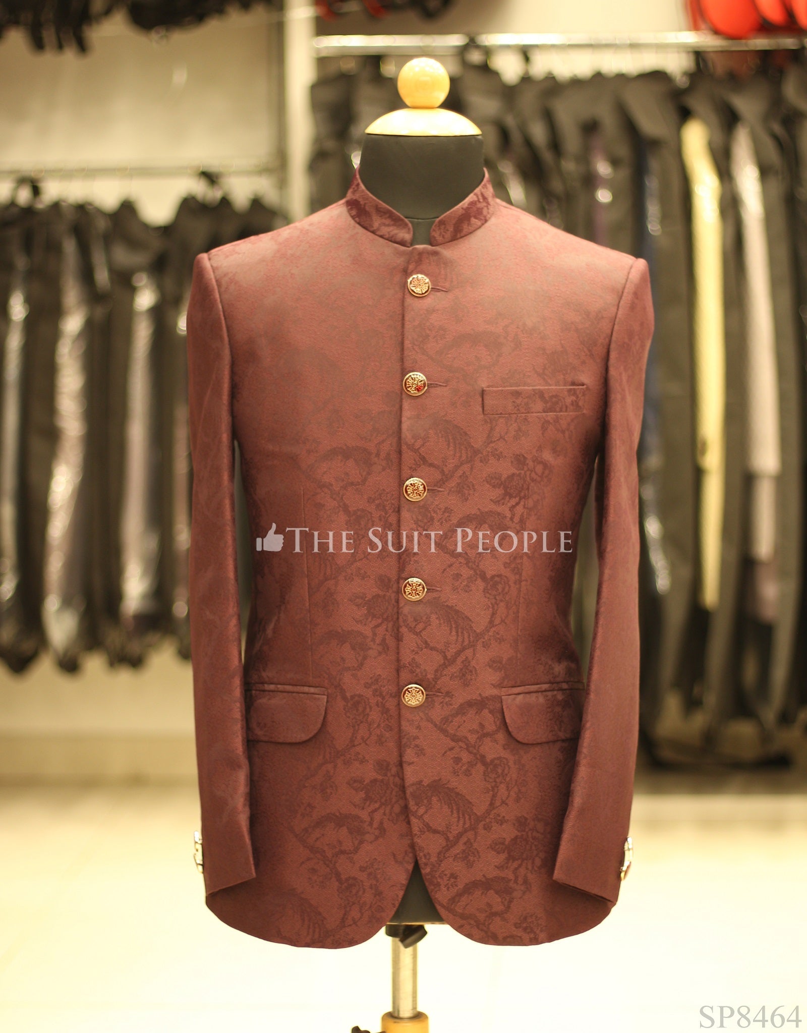 SP8464-Jodhpuri Blazers (Sp)